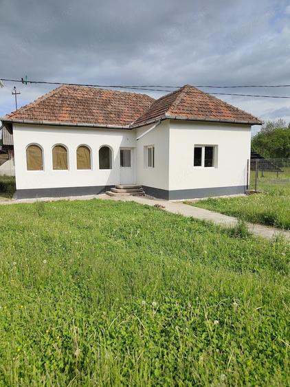 Casă cu 3 camere cu Teren 1500 Mp în Capu Piscului (Godeni)