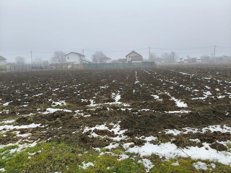 Teren Construcții intravilan de 1500 mp, în Moara Vlăsiei