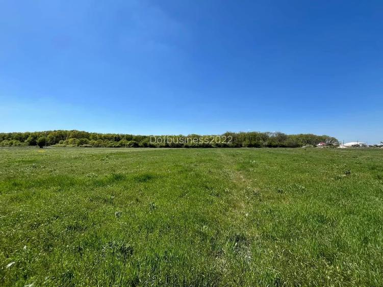 Teren extravilan 4500 MP, cu PUZ, Grigorescu , Oradea.