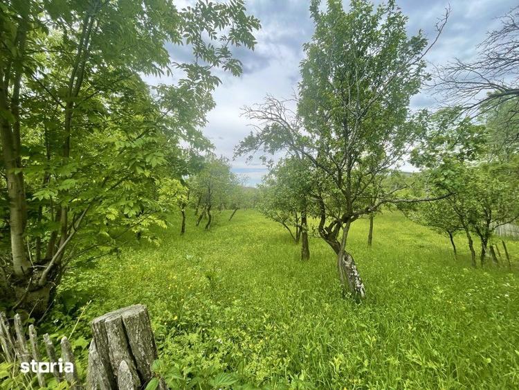 Teren de 6762 mp, în Șotrile