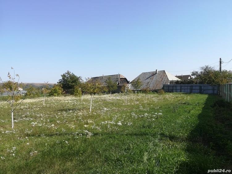 Teren de 1845 mp, în Costișa