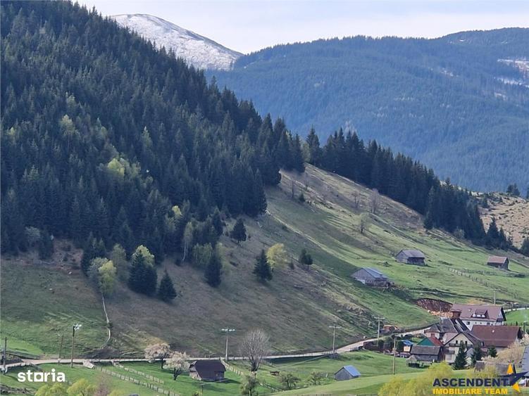 Teren de 6966 mp, în Fundata
