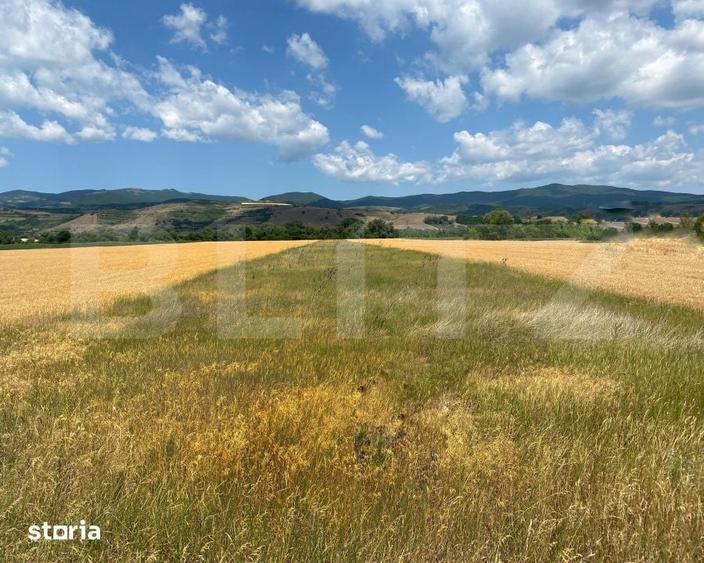 Teren de 10400 mp, în Vințu de Jos