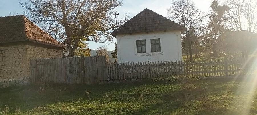 Casă cu Teren 7000 Mp în Fâșca