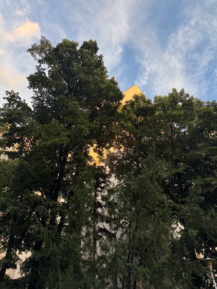 Apartament cu 3 camere decomandat în Drumul Taberei
