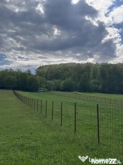 Teren de 2500 mp, în Marginea
