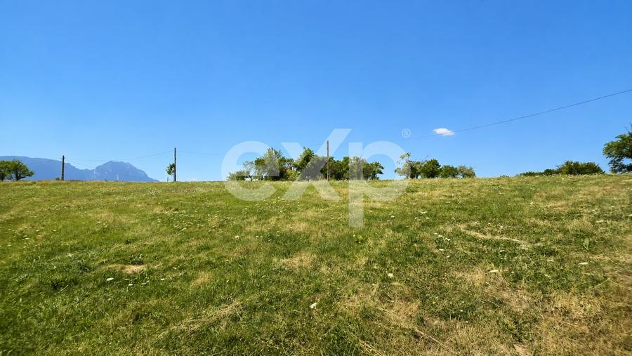 Teren Construcții extravilan de 3000 mp, în Poiana Mărului