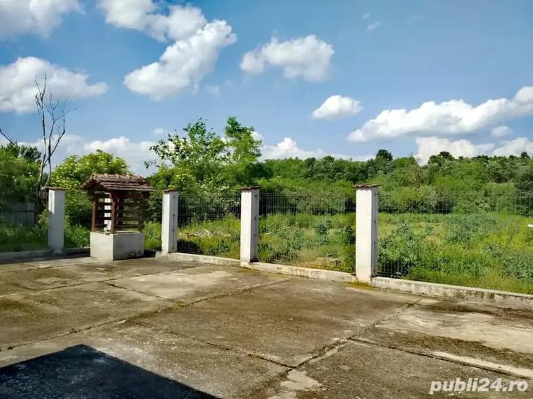 Casă cu 6 camere cu Teren 3000 Mp în Mănăștiur