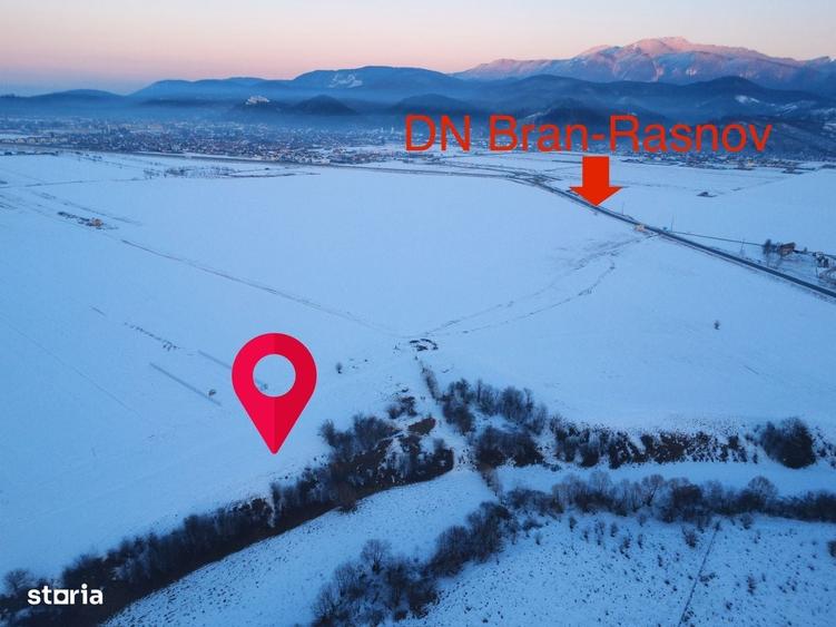 Teren de 5000 mp, în Pănicel