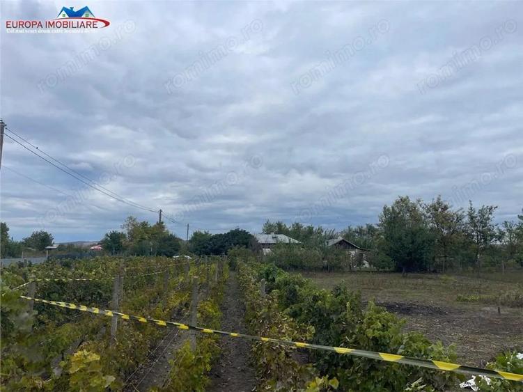 Teren de 1000 mp, în Iazurile