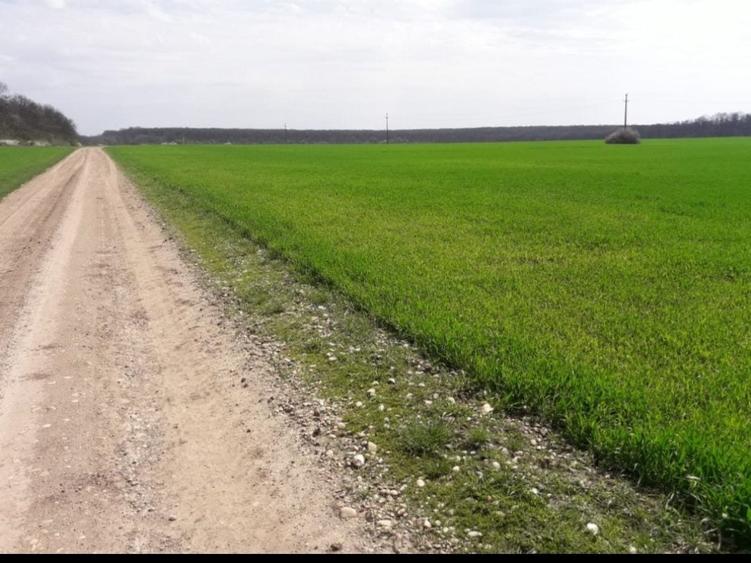 Teren de 130000 mp, în Herneacova