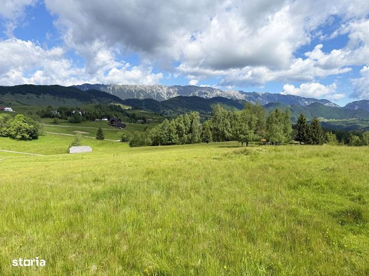 Teren 1425 mp, sat Sinea, zona Bran Moieciu - 2
