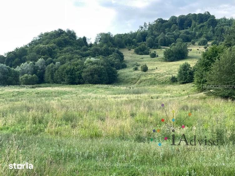 Teren de 93500 mp, în Cheia
