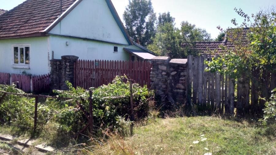 Casă cu 4 camere în Susani
