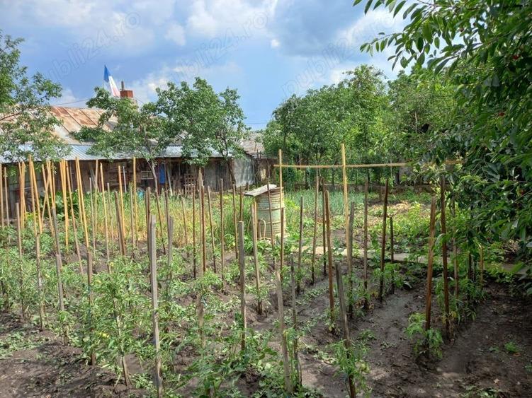 Casă cu 3 camere cu Teren 635 Mp în Central