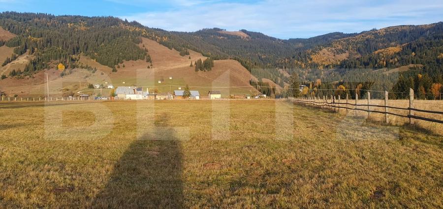 Teren Construcții extravilan de 9031 mp, în Vatra Dornei