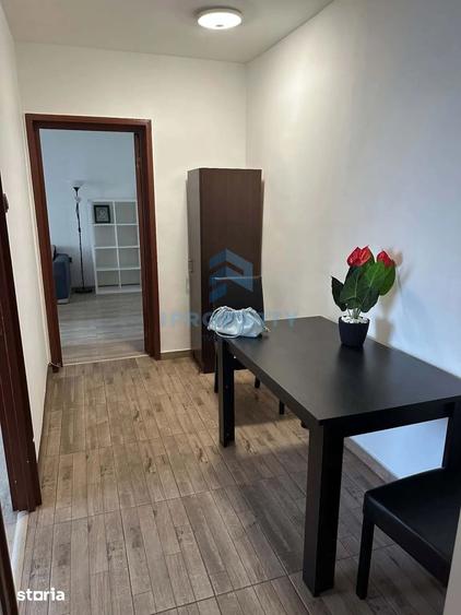Inchiriere Apartament 2 camere in Nicolae Grigorescu Pet Friendly - 10