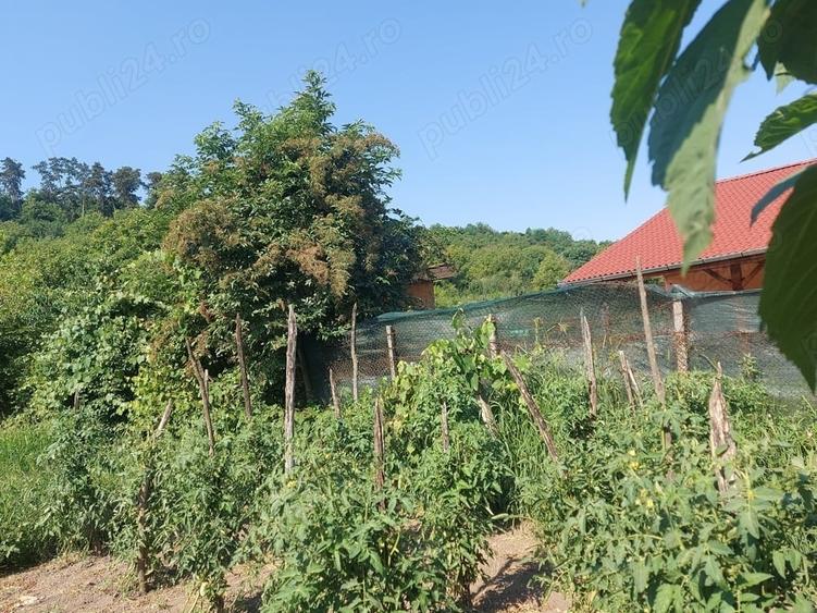 Casă cu 5 camere în Blaj