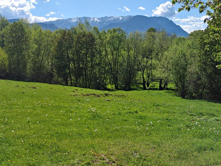 Teren Construcții intravilan de 5783 mp, în Bran