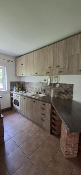 Proprietar vand casa in Valea Lupului pozitie excelenta, gradina superba si potential comercial - 6
