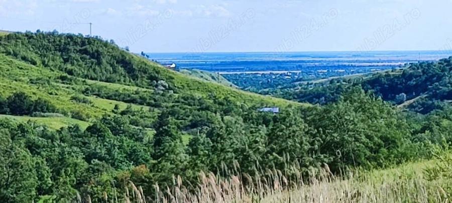 Teren de 5000 mp, în Boboci