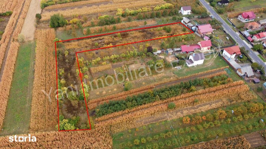 Teren de 4000 mp, în Corbeni