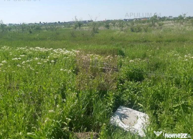 Teren de 29000 mp, în Pantelimon