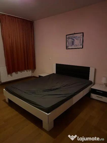 Vila Vatra Noua 5 Camere - 7