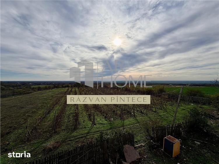 Spațiu comercial, de 450 mp, în Păltiniș