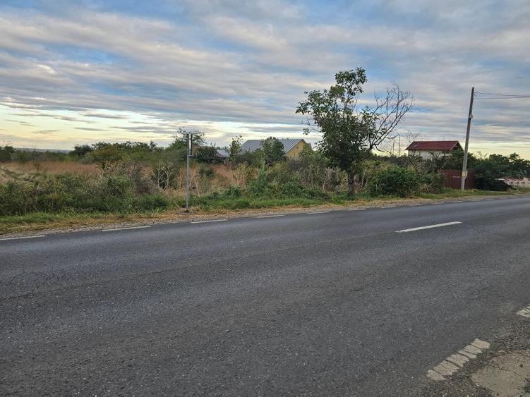 Teren Construcții extravilan de 3100 mp, în Vânători