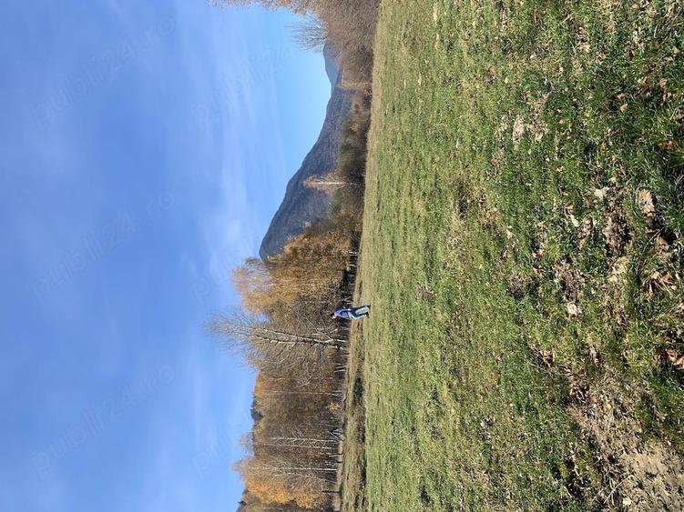 Teren de 1000 mp, în Predeluț