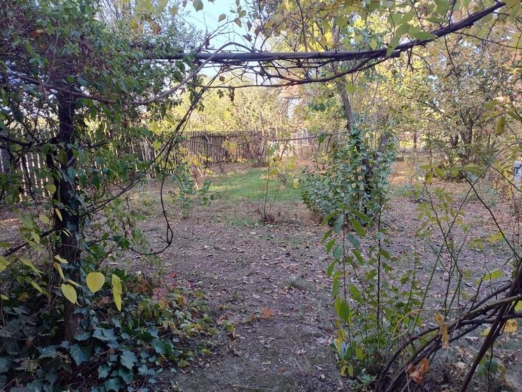 Casă cu 4 camere în Giubega