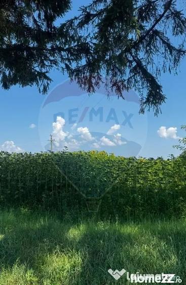 Teren 8,156mp Costana / DJ DJ 178A DRUM PRINCIPAL - Costana (Suceava) - 1