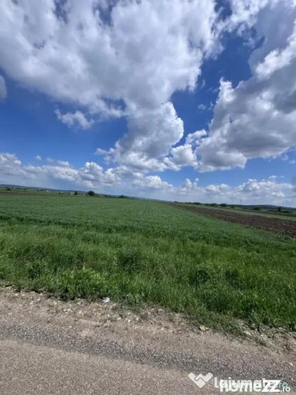 Teren de 10000 mp, în Rădăuți