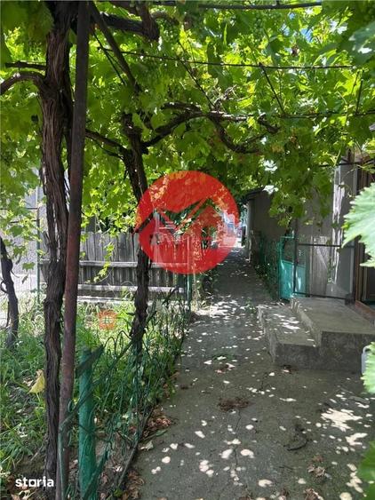 Casă cu 7 camere cu Teren 5000 Mp în Mihail Kogălniceanu