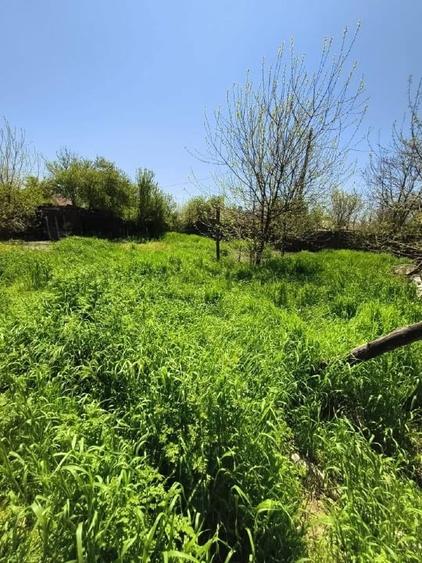 Casă individuală cu 4 camere cu Canalizare în Viziru