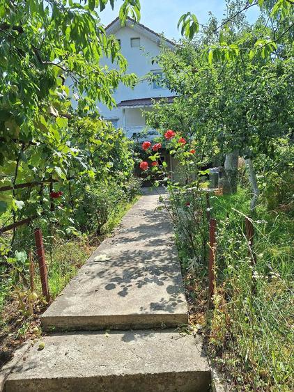 Casă cu Teren 600 Mp în Păuliș