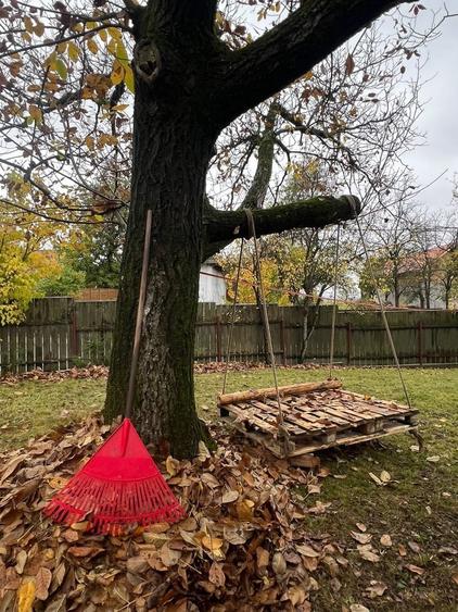 Casă cu 2 camere în Bicfalău