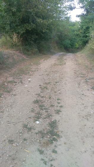 Teren agricol intravilan de 780 mp, în Mocești