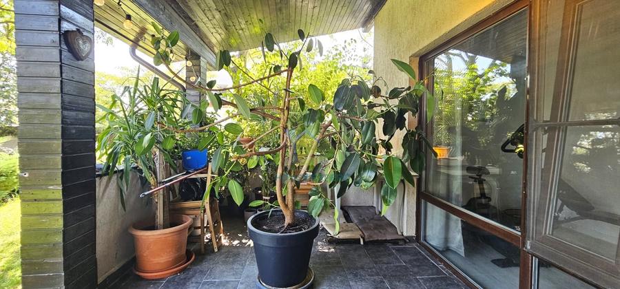 Casă individuală cu 6 camere cu Teren 700 Mp în Corbeanca