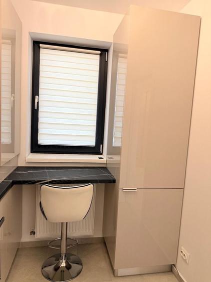 Studio de inchiriat HILS Brauner 39,3 mp, Direct propietar, Se accepta animale de companie, Loc de parcare inclus - 8