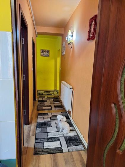 Apartament de vanzare in Petrila - 7