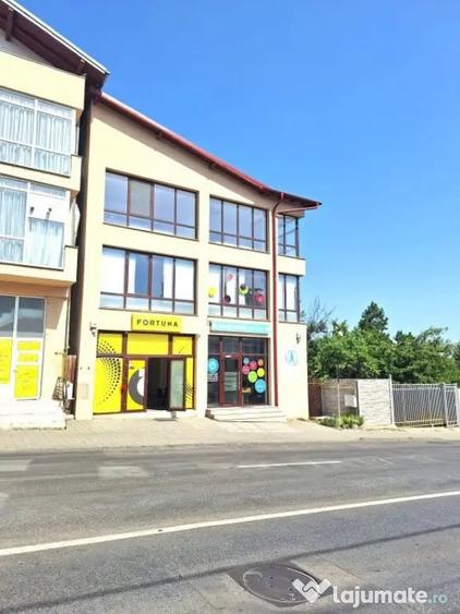 Spatiu Comercial Multifunctional Banat-CLASA A - 8