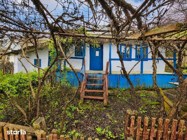 Casă cu 3 camere cu Teren 7391 Mp în Stănișești