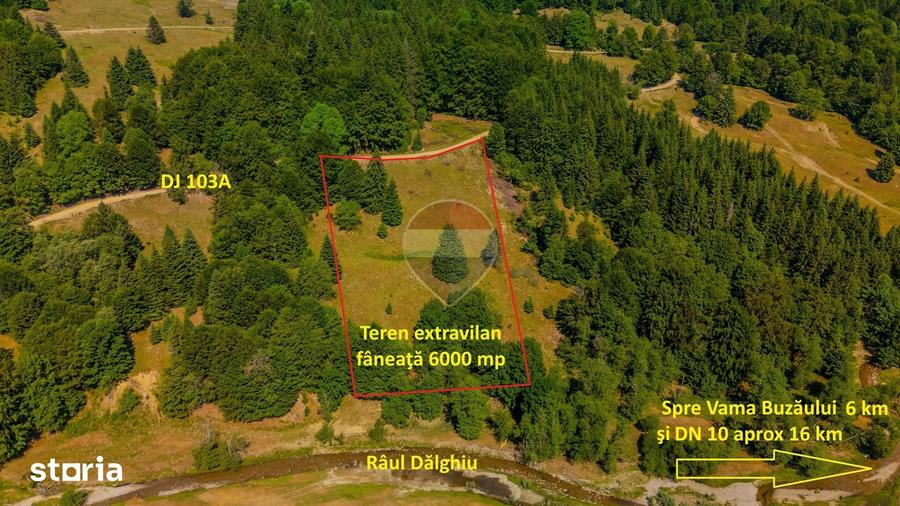 Teren 6000 mp, Valea Dalghiului - Vama Buzaului - vedere catre Ciuca? - 10