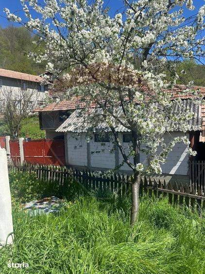 Casă cu 4 camere cu Teren 700 Mp în Chiojdu