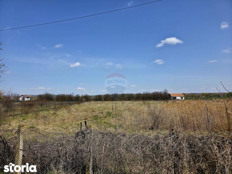 Teren de 7000 mp, în Girov