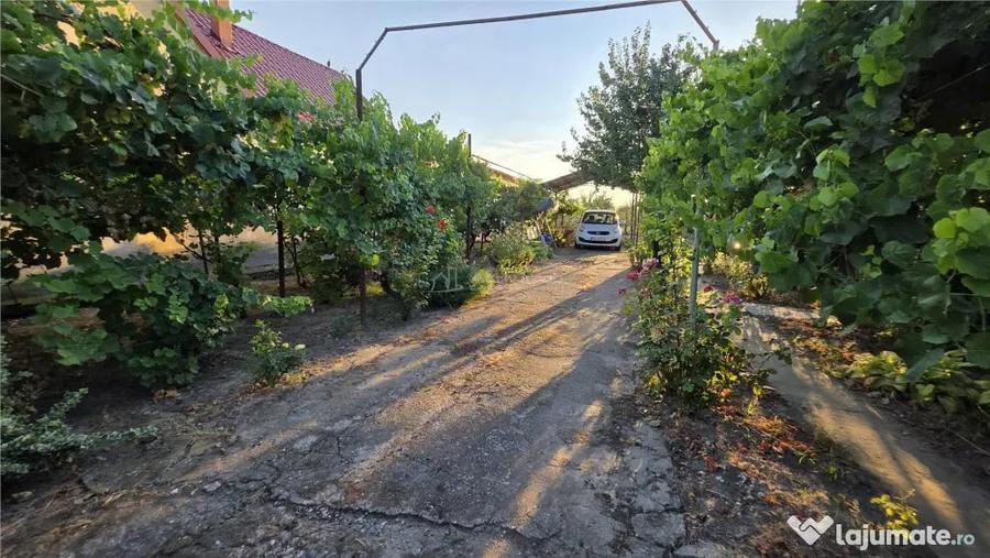 Casă cu 3 camere cu Teren 1410 Mp în Checea