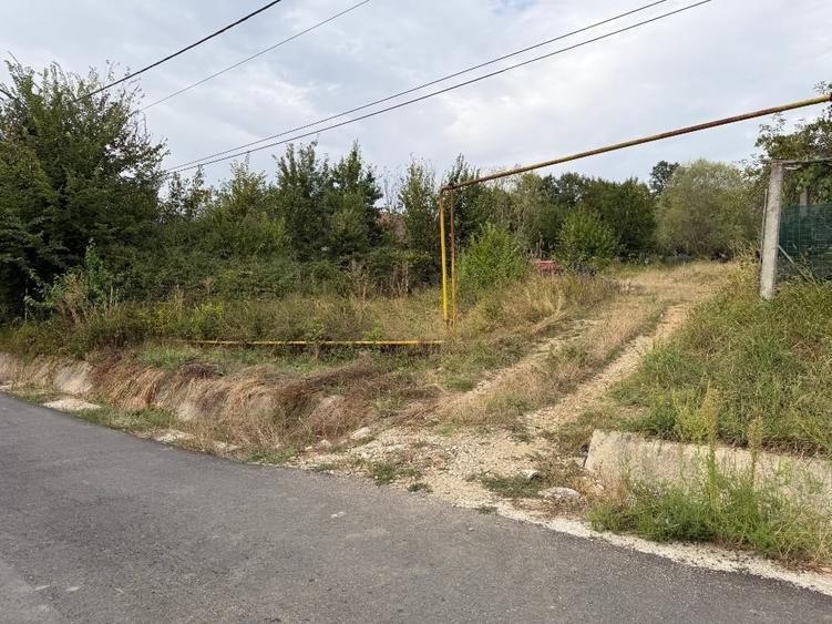 Teren Construcții intravilan de 4000 mp, în Rasova