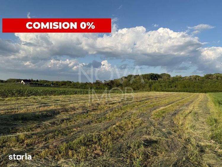 Teren de 1000 mp, în Central